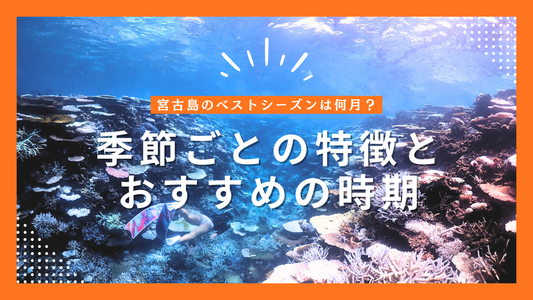 宮古島は何月がベスト？季節ごとの特徴を在住者が解説