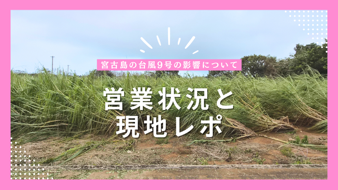 宮古島の台風9号の影響について｜MAHHO TERRACEの営業状況と現地レポ