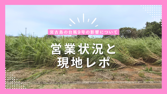 宮古島の台風9号の影響について｜MAHHO TERRACEの営業状況と現地レポ